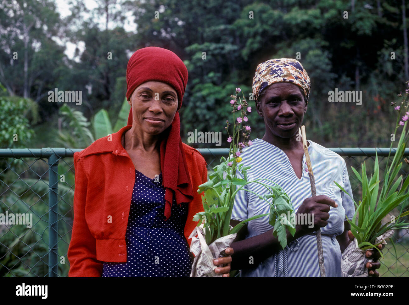 2, two, Jamaicans, Jamaican women, Jamaican, women, adult women Stock ...