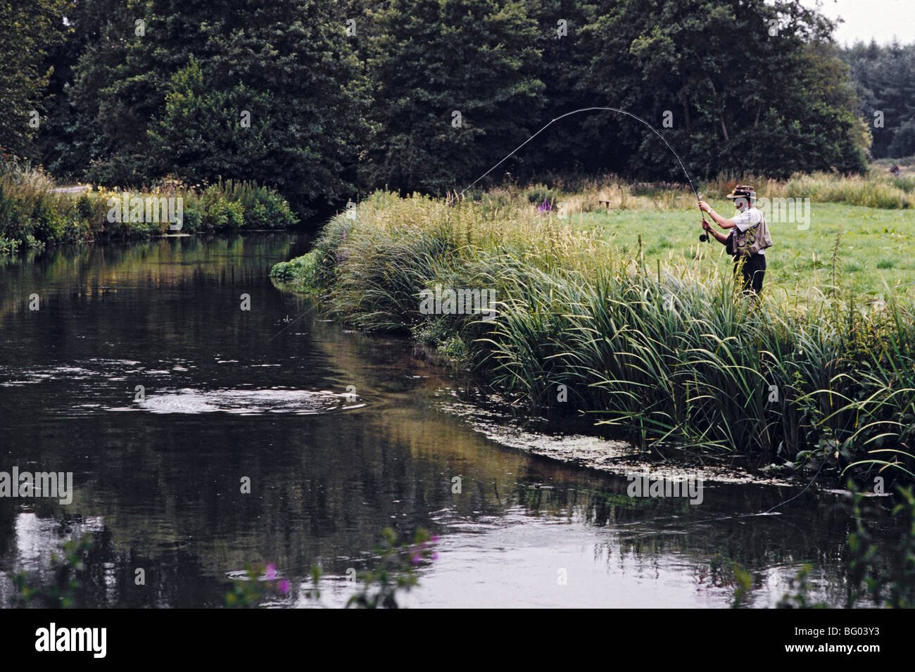Fly fishing, Hampshire, England Stock Photo Alamy