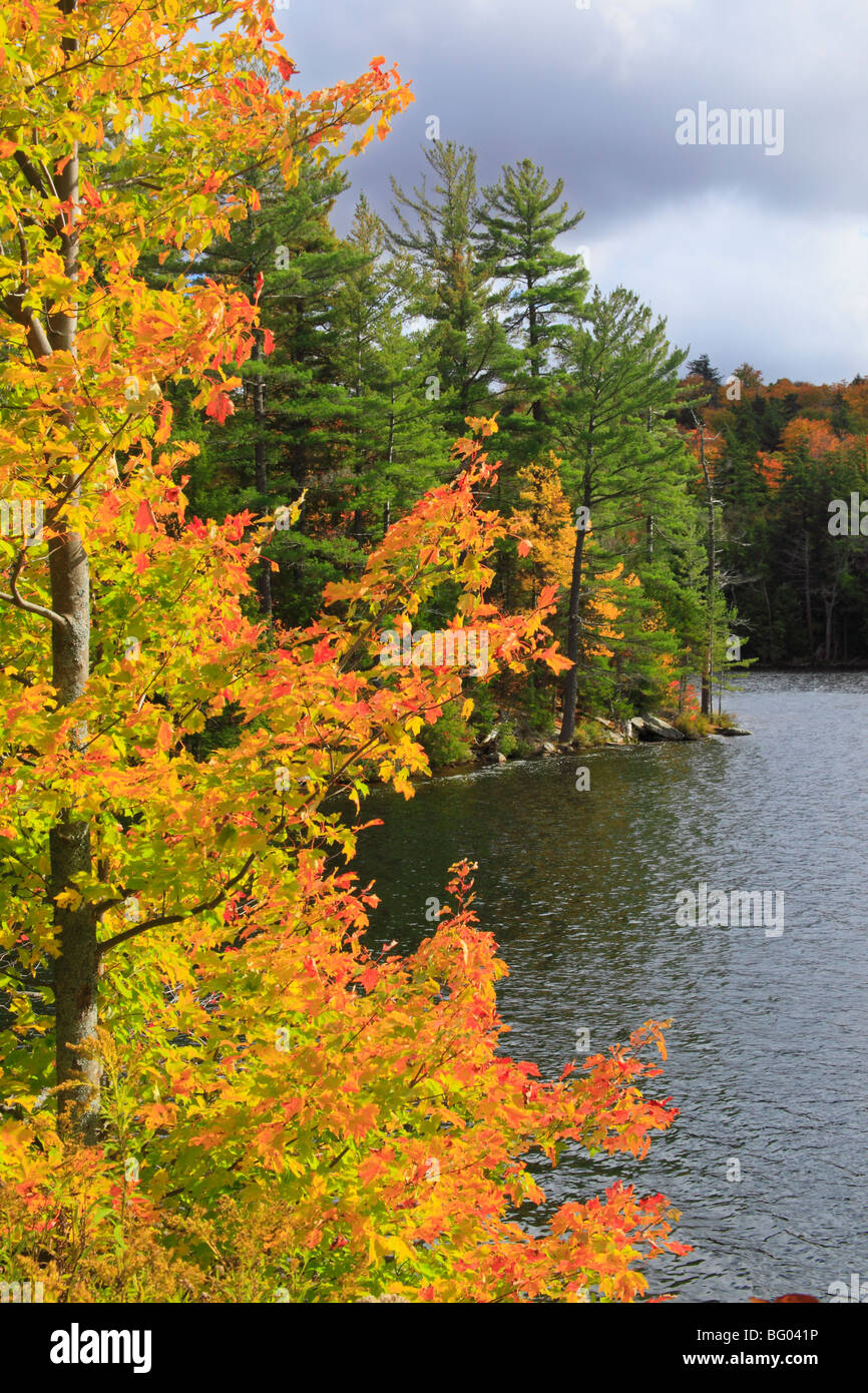 Mason Lake, Parkins Clearing, Adirondacks, New York Stock Photo