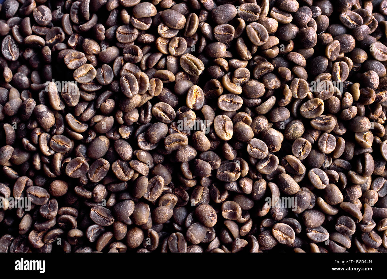 Green (unroasted) coffee beans Stock Photo Alamy