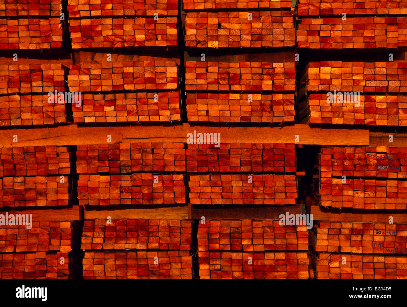 Sawn karri timber Pemberton, SW Western Australia Stock Photo Alamy