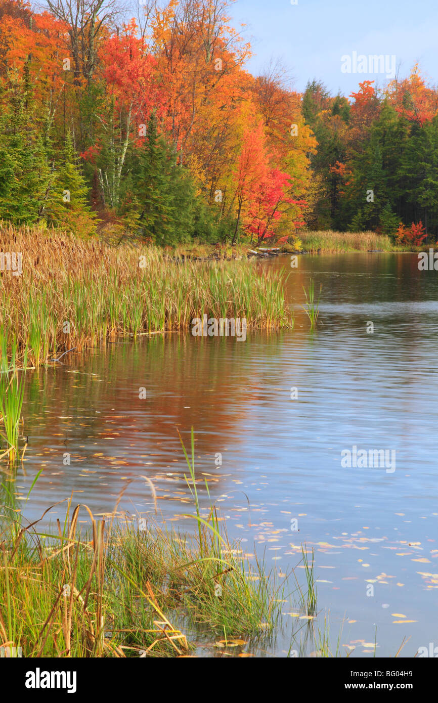 Kent Pond, Gifford Woods State Park, Appalachian Trail, Killington ...