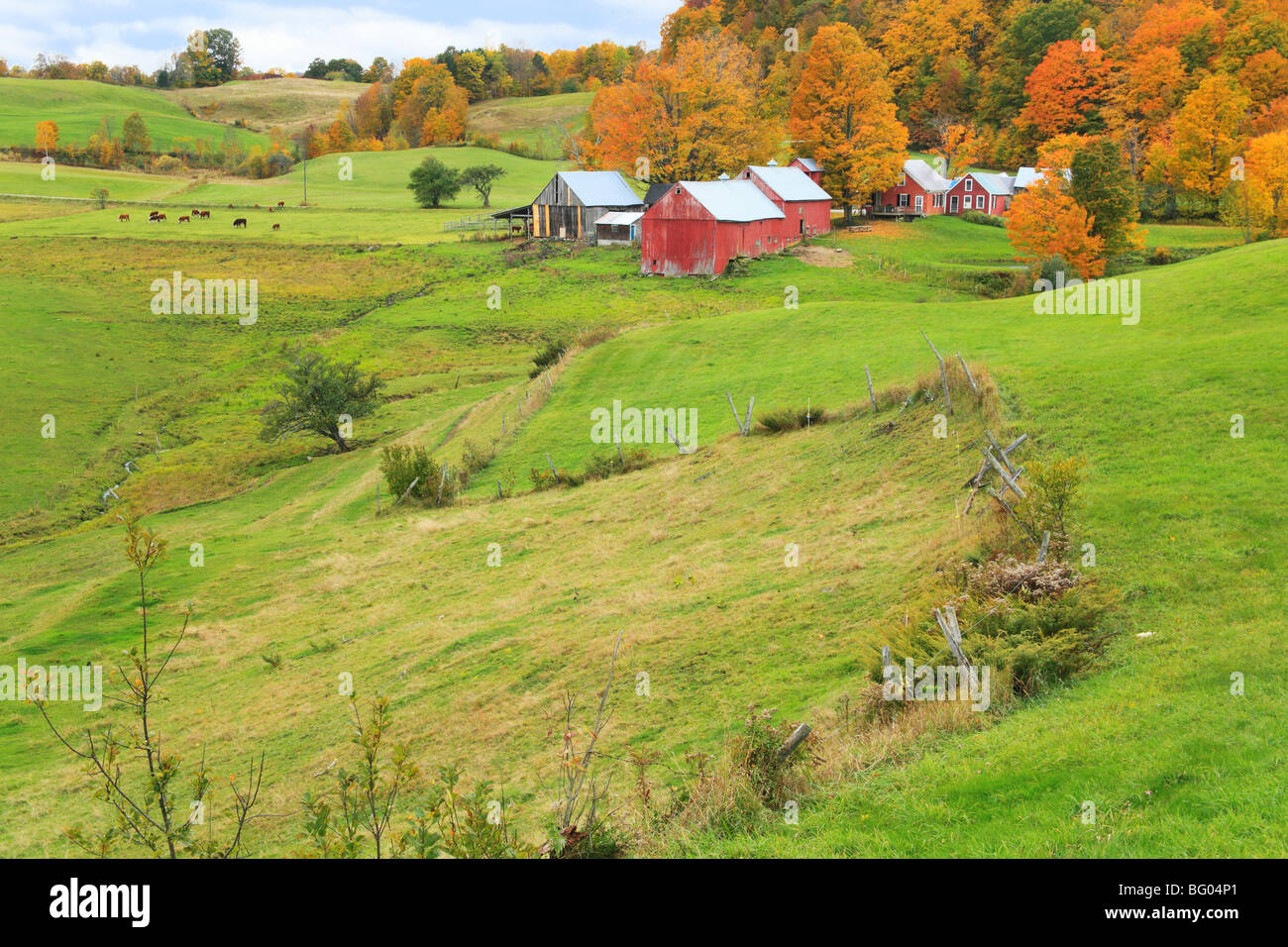 Jenny Farm, South Woodstock, Vermont Stock Photo