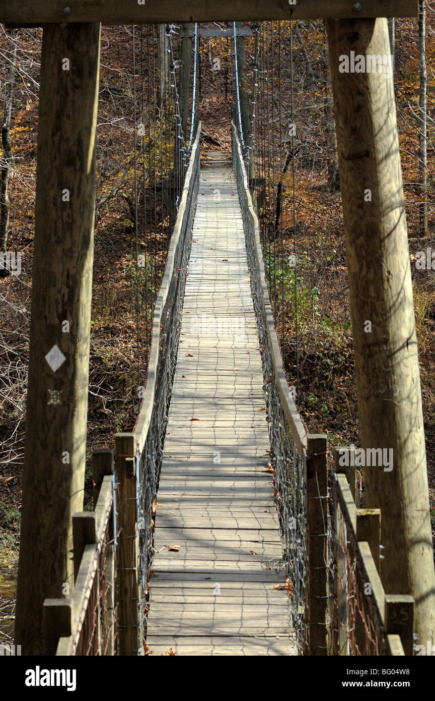 Sheltowee Trace Suspension Bridge in the Red River Geological