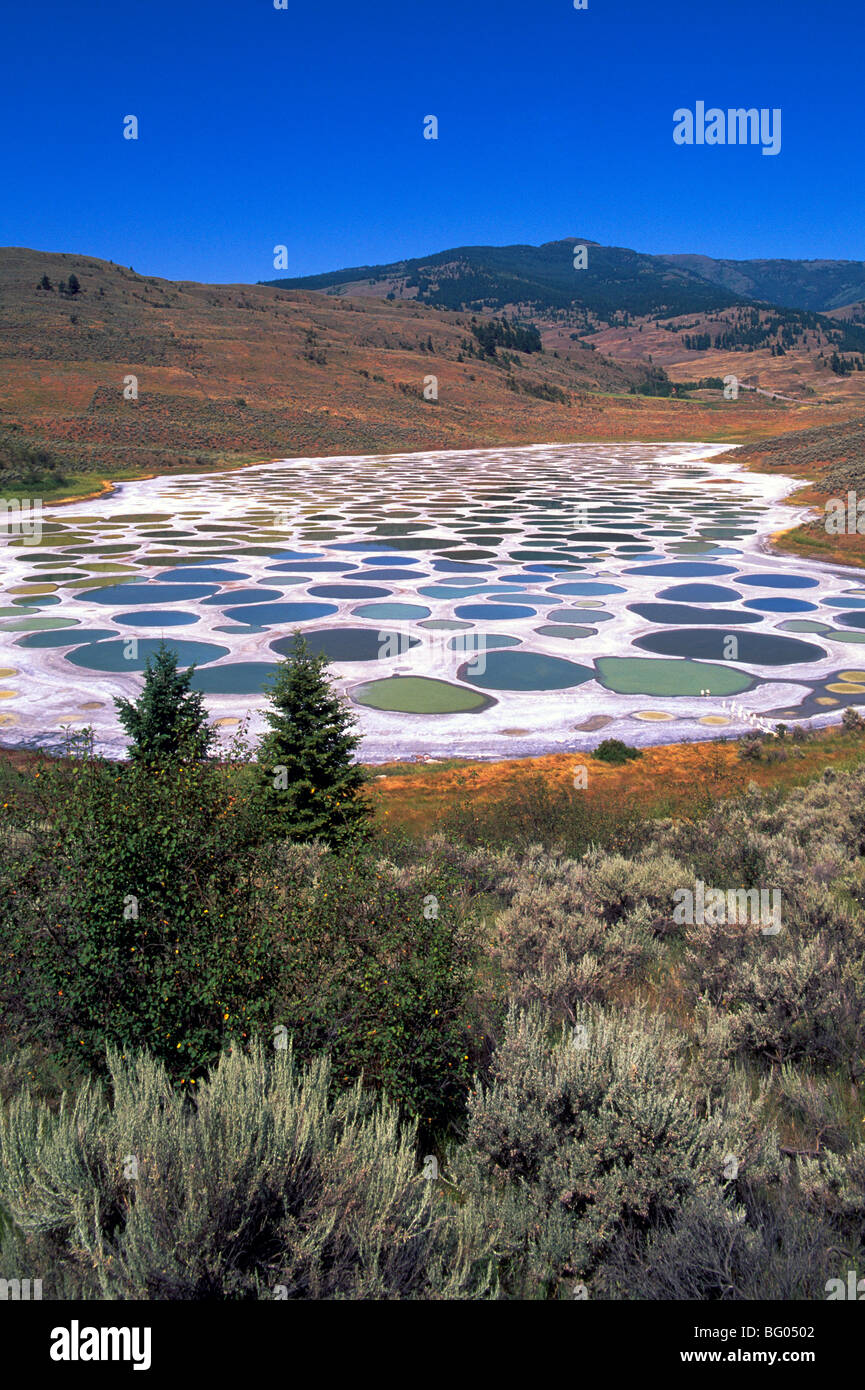 Spotted Lake near Osoyoos, South Okanagan Valley, BC, British Columbia,  Canada - Historical First Nations Sacred Mineral Waters Stock Photo