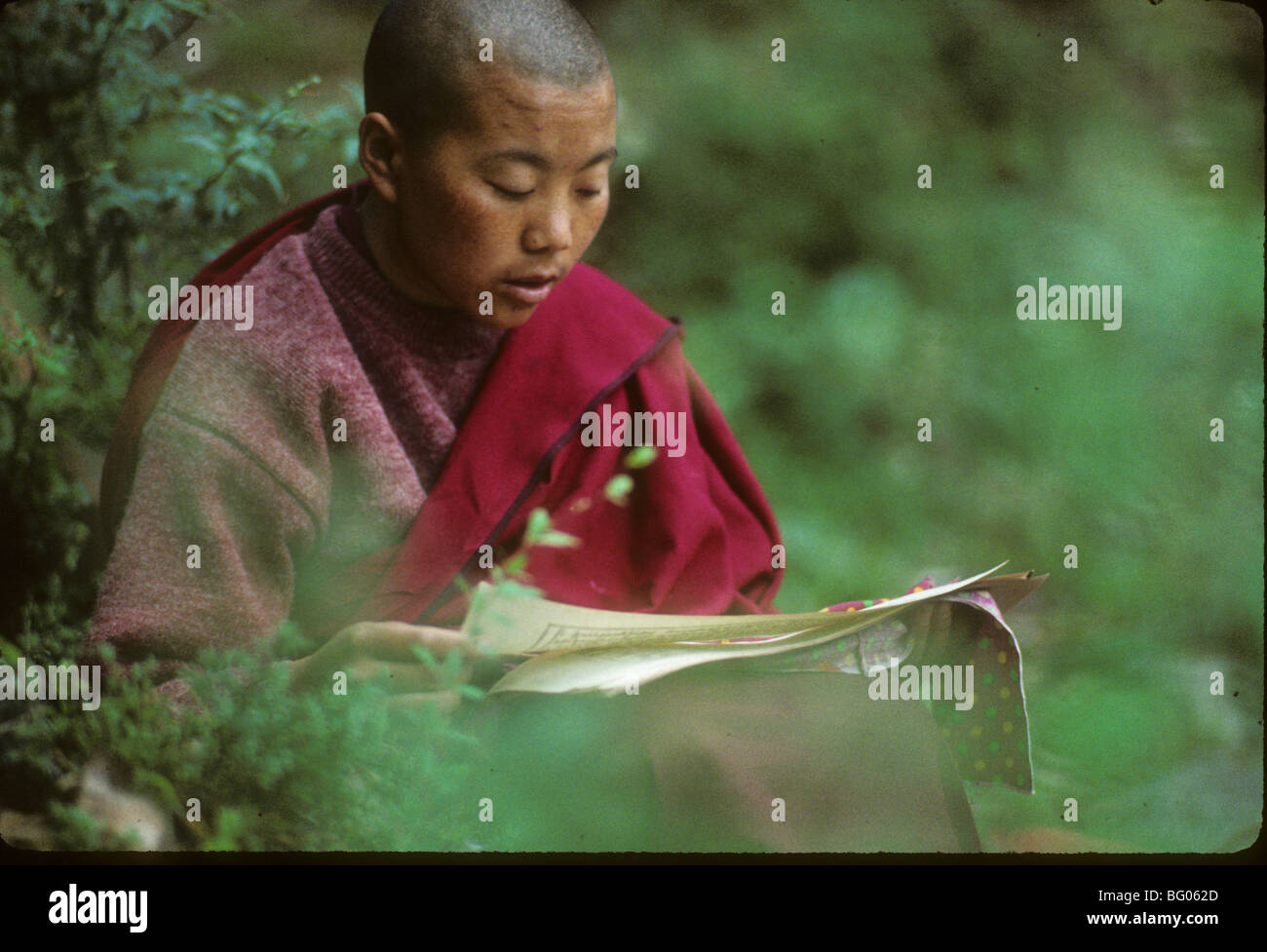 Portrait of a Buddhist nun studying Buddhist philosophy She is originally from Tibet but now living in exile in Dharamsala India Stock Photo