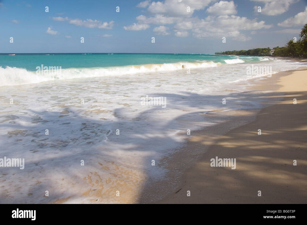 Palm tree shadows on the sand in Alleynes Bay on the west coast of Barbados, Windward Islands, West Indies, Caribbean Stock Photo