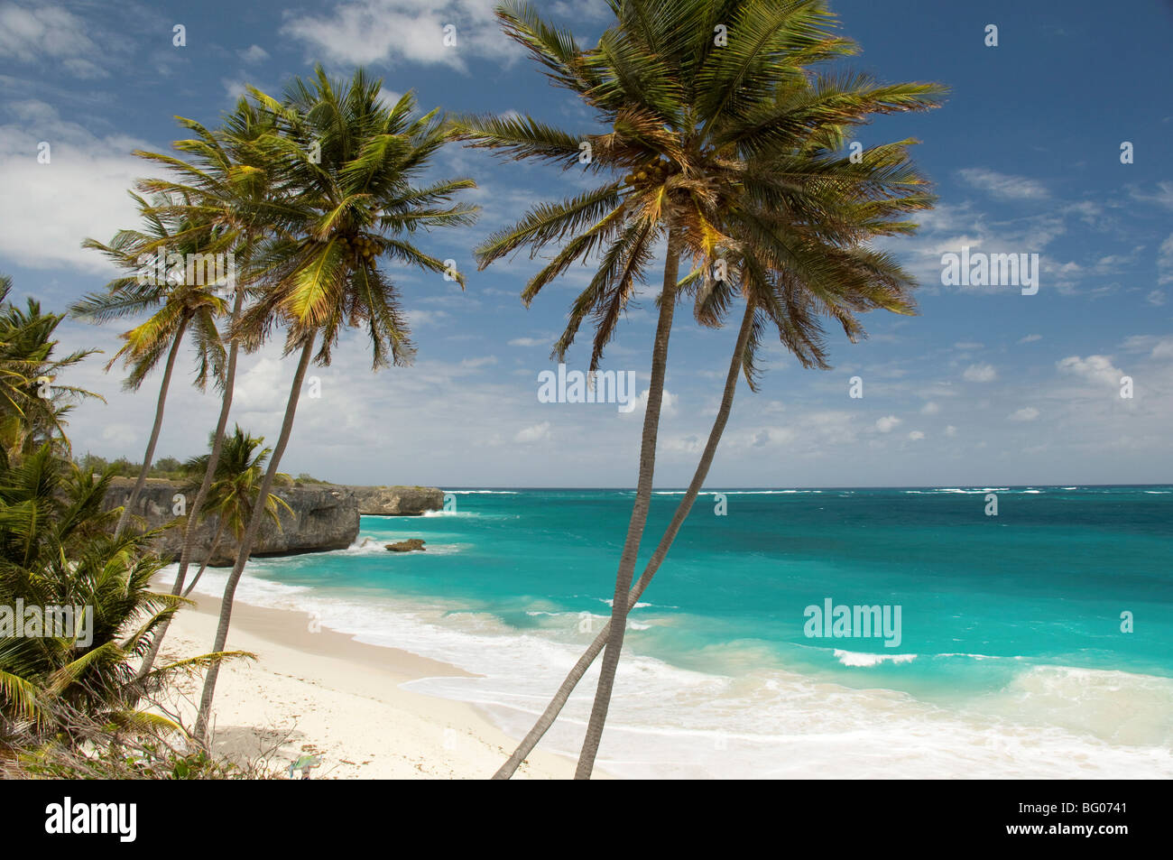 Palm trees and surf at Bottom Bay on the east coast of Barbados, Windward Islands, West Indies, Caribbean, Central America Stock Photo