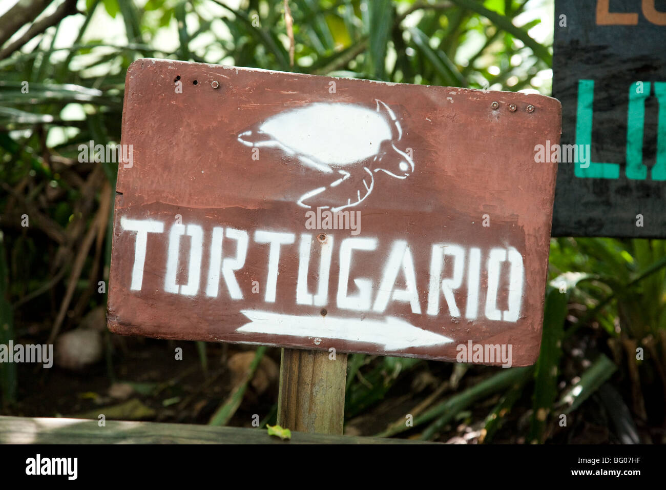 Tortugario. Turtle Conservation Center. Monterrico Nature Reserve, Reserva Natural de Usos Multiples. Stock Photo