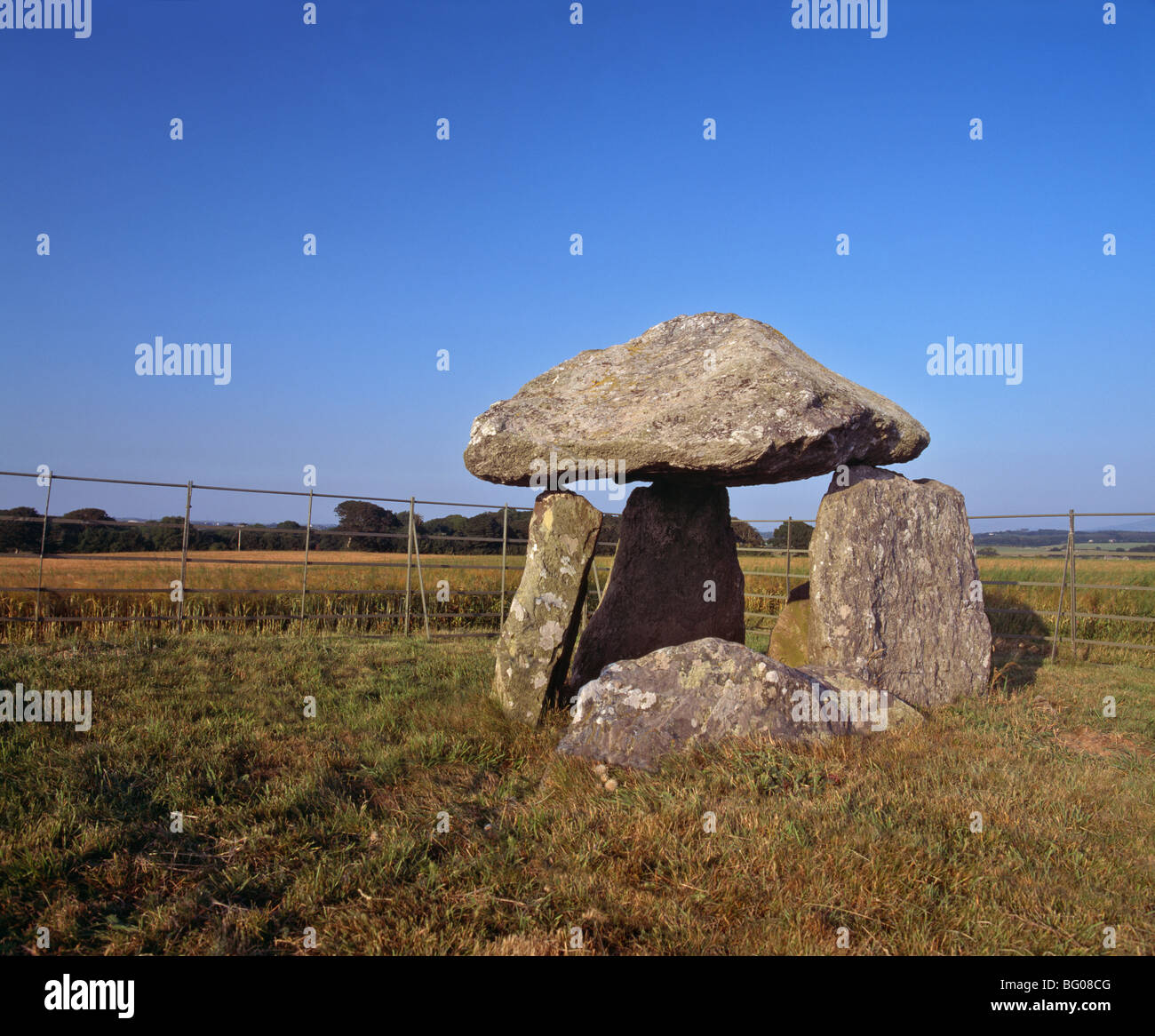 Neolithic burial chamber for communal burial of the dead, Bodowyr Burial Chamber, Anglesey, North Wales, United Kingdom Stock Photo