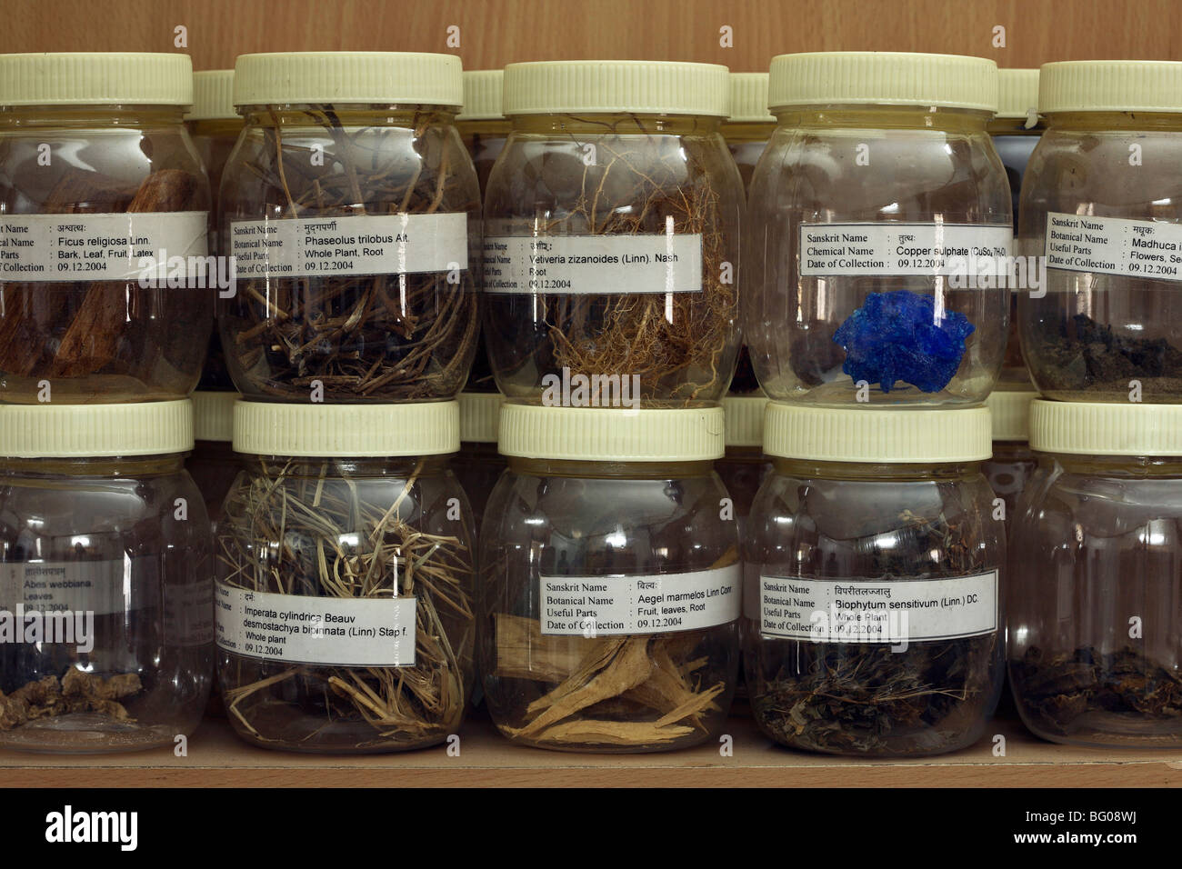 Various Ayurvedic herbs Stock Photo Alamy