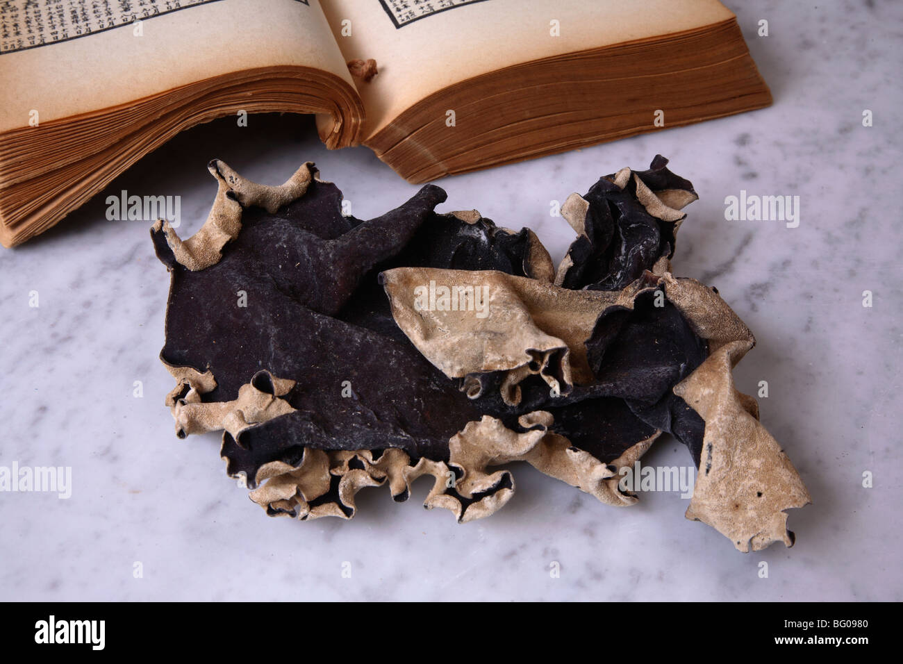 Black mushroom for traditional Chinese medicine Stock Photo Alamy