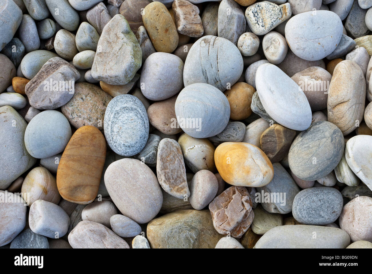 Assorted pebbles on a beach Stock Photo