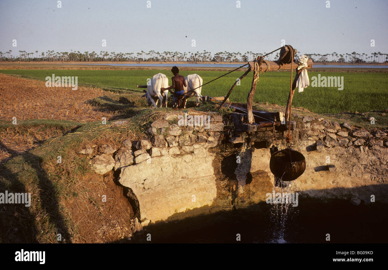 Tamil nadu farmers hi-res stock photography and images - Alamy
