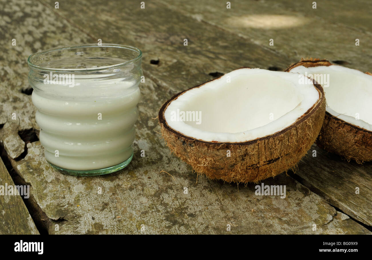 Coconut milk, Farm Health and Spa Resort in Batangas, Philippines, Southeast Asia, Asia Stock