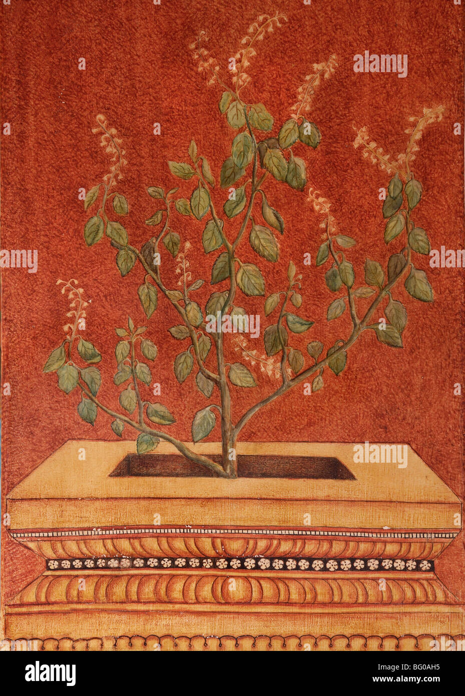 Painting of Tulsi (Holy Basil) (Ocimum tenuflorum) a symbol in Hindu traditions and an Ayurvedic ingredient Stock Photo