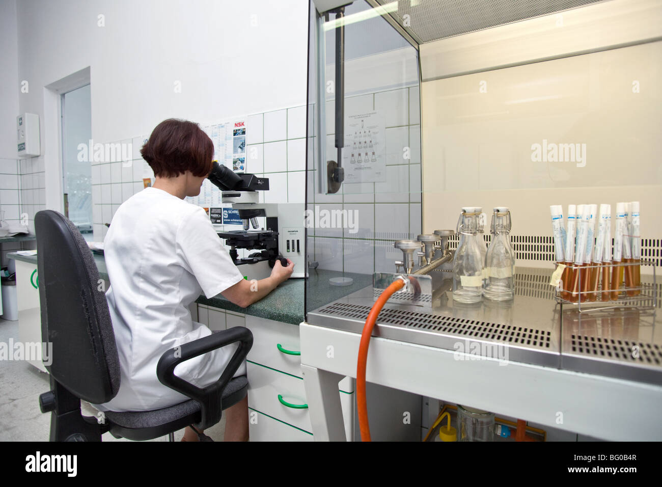 Beer laboratory hires stock photography and images Alamy