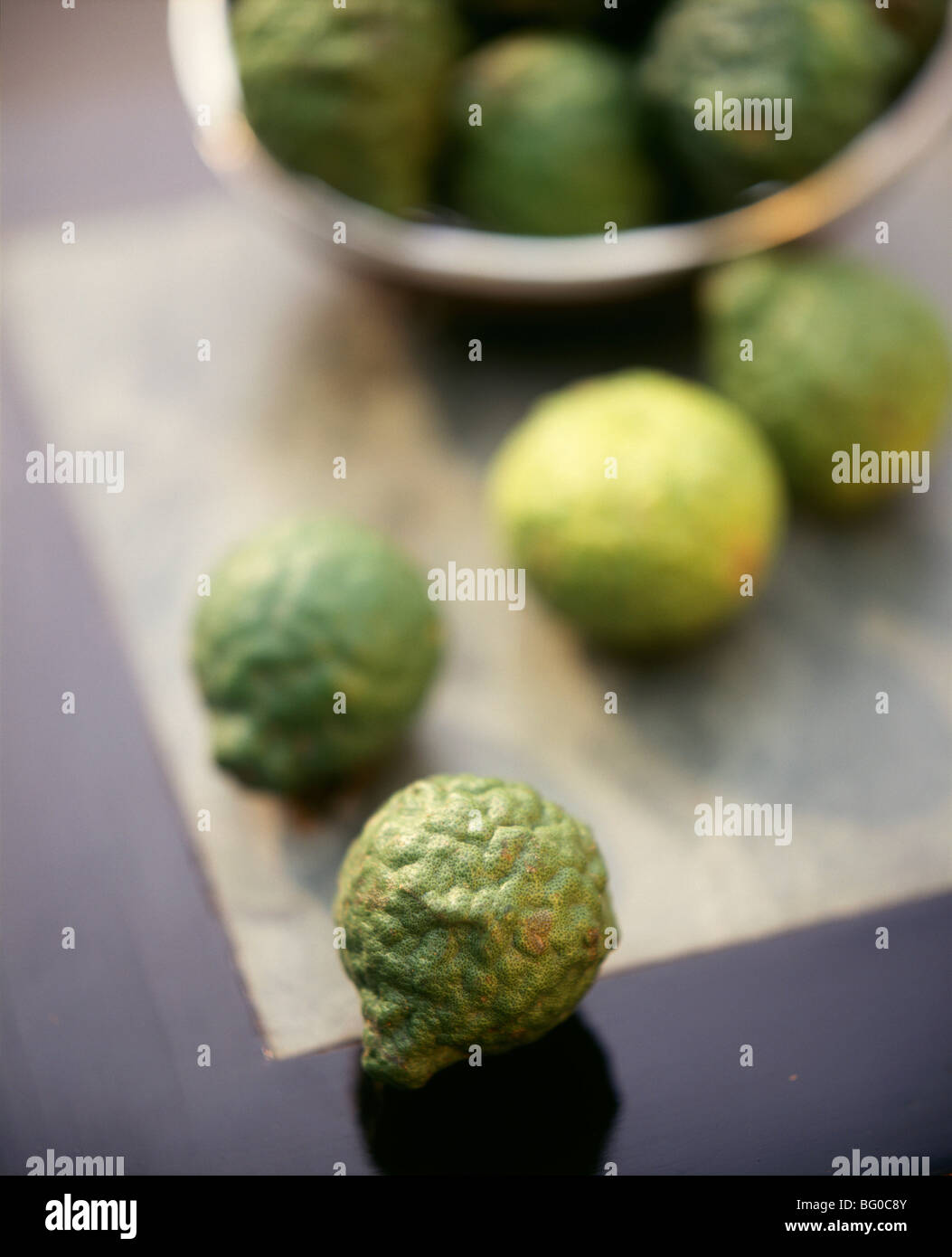 Kaffir Lime (limau purut), a type of lime native to Indonesia, Malaysia, and Thailand, for culinary and medicinal uses Stock Photo