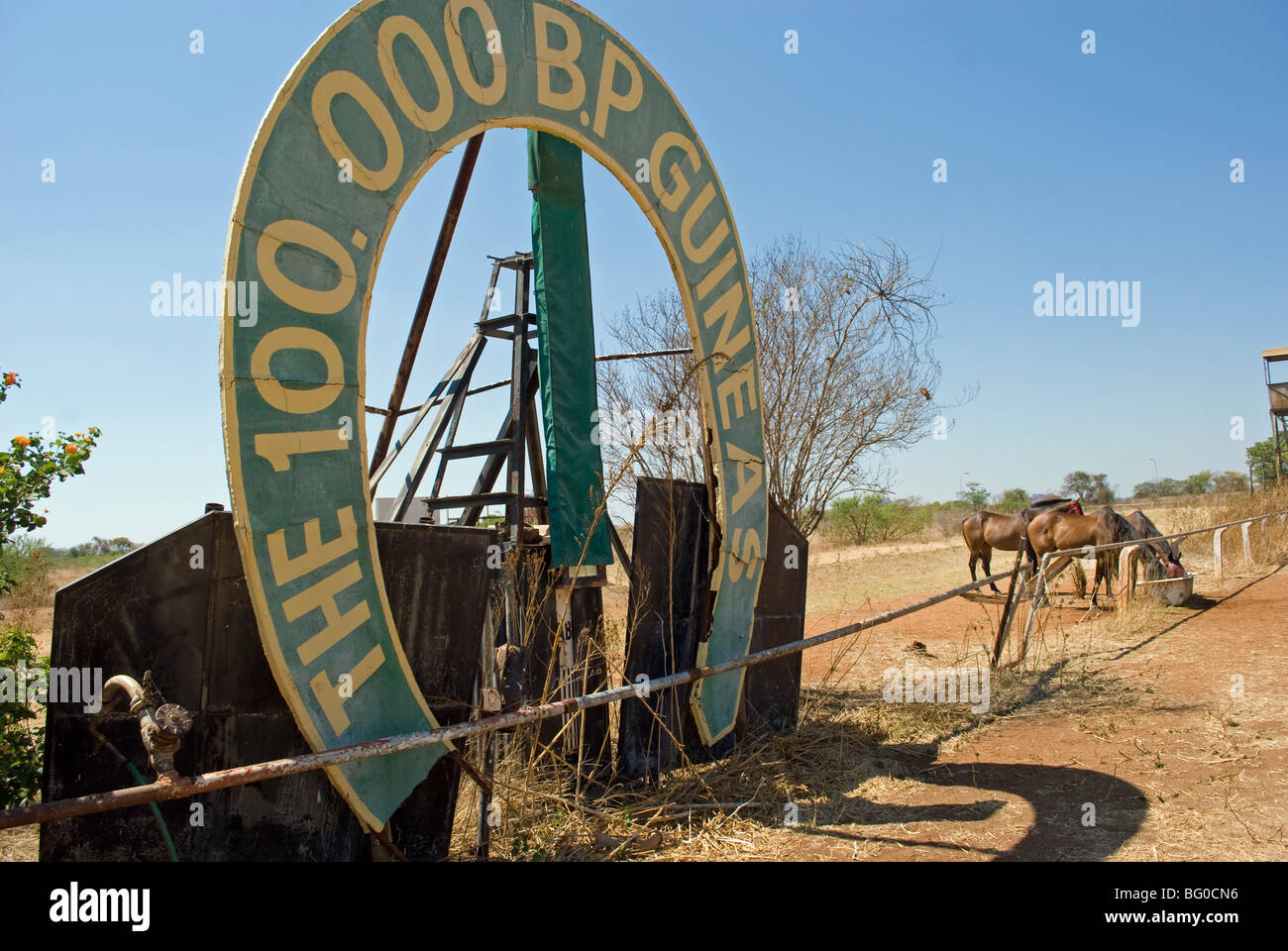 Ascot bulawayo hires stock photography and images Alamy