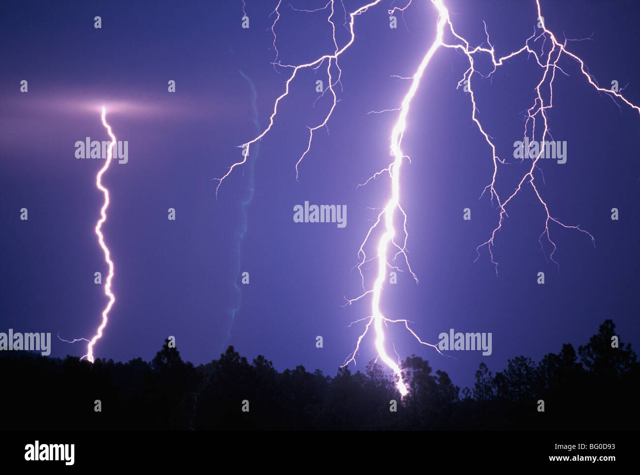 Lightning bolts in night sky Stock Photo