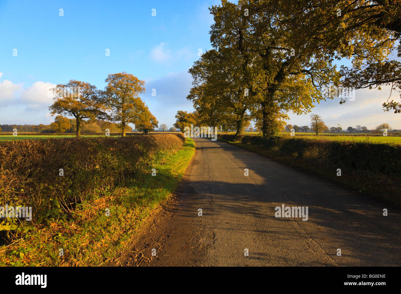 Bosworth Road near Congerstone in the late Afternoon Autumn Sun, Leicestershire, UK Stock Photo