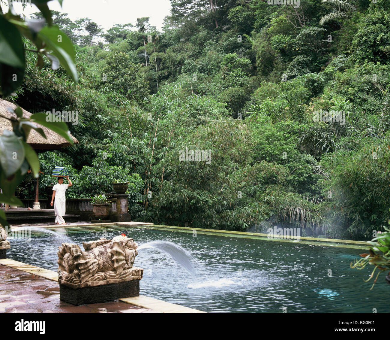 Pool at Bagus Jati in Ubud, Bali, Indonesia, Southeast Asia, Asia Stock Photo