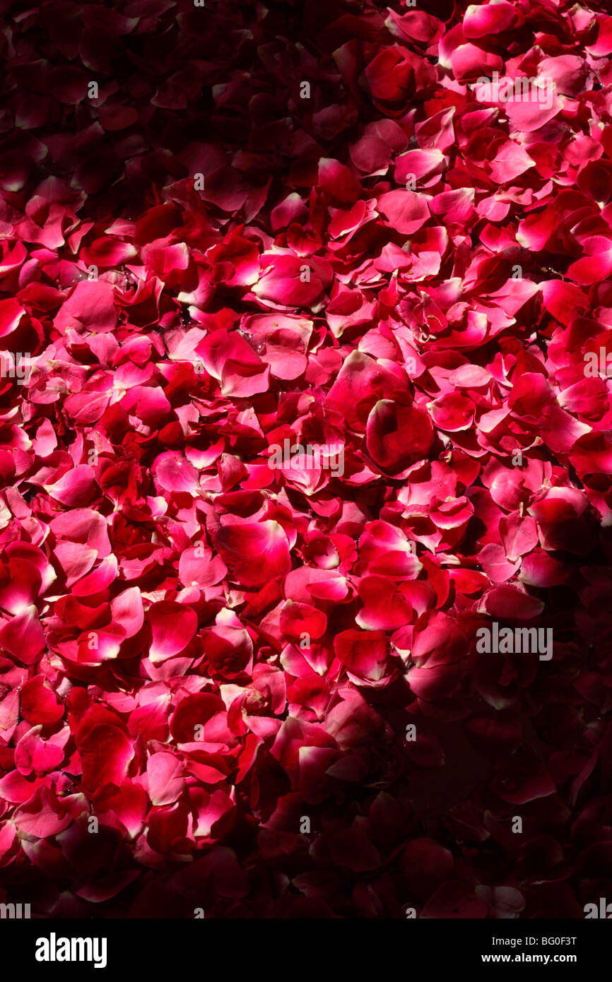 Bath with rose petals Stock Photo Alamy