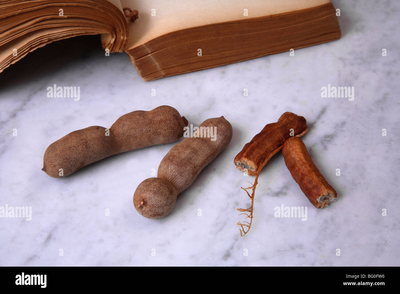 Tamarind, particularly beneficial for cardiovascular health Stock Photo