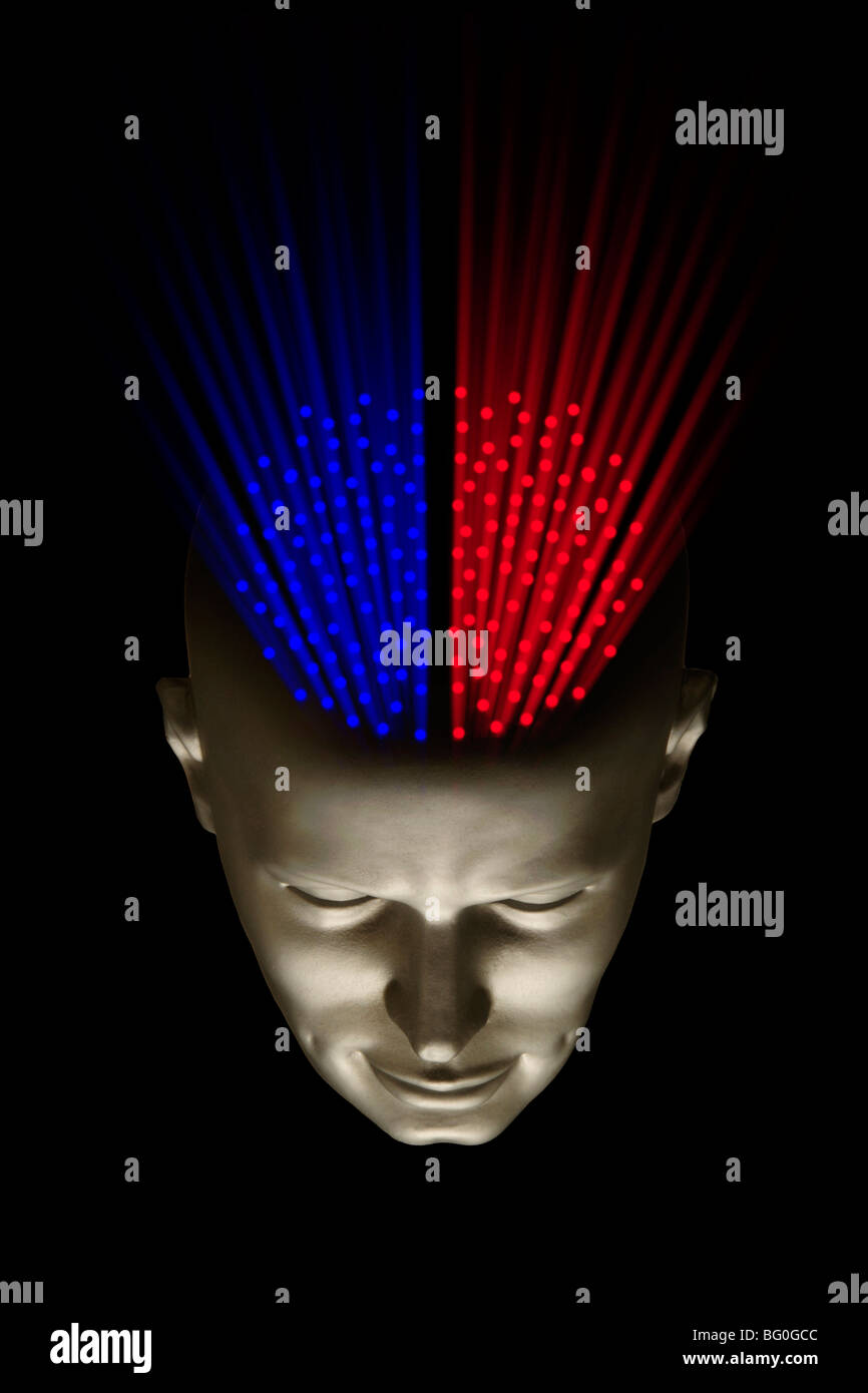Mannequin head with blue and red dots representing the left and right halves of the brain Stock Photo