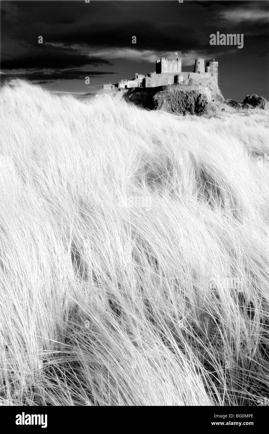 Infrared image of Bamburgh Castle from the dunes above Bamburgh Beach, Northumberland, England, United Kingdom, Europe Stock Photo