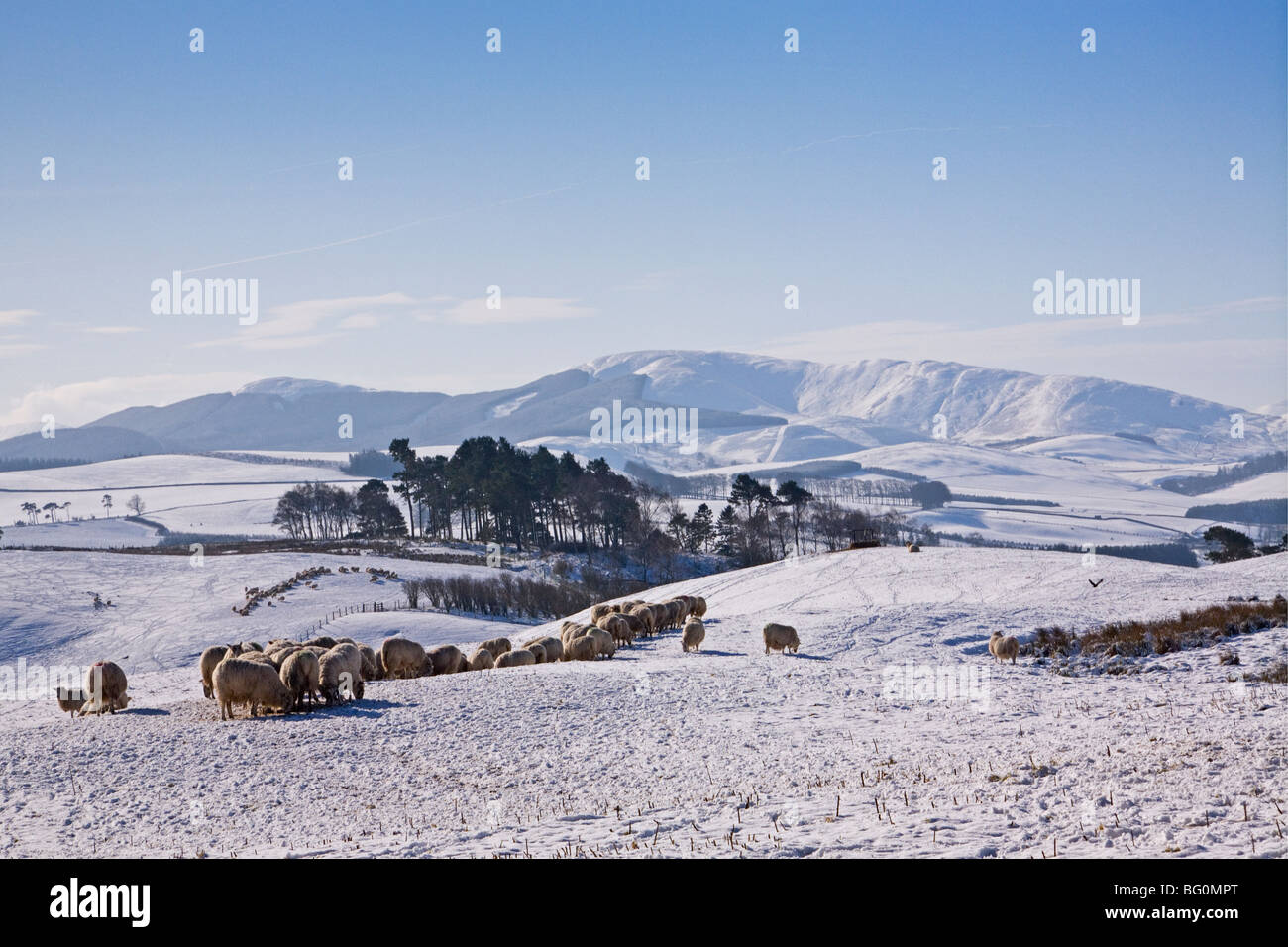 The view from West Linton, looking towards the Tweedsmuir Hills Stock Photo