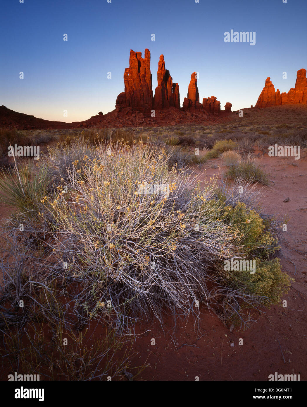 Golden Pillars High Resolution Stock Photography and Images Alamy