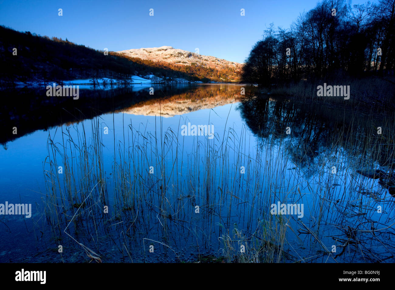 View across Grasmere on snowy winter morning, Lake District National Park, Cumbria, England, United Kingdom Stock Photo