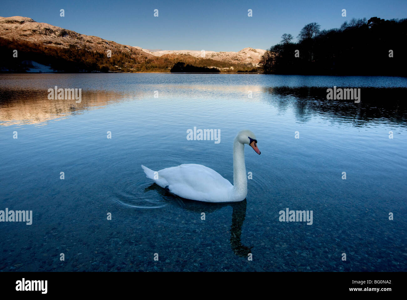 View across Grasmere on snowy winter morning, Lake District National Park, Cumbria, England, United Kingdom Stock Photo