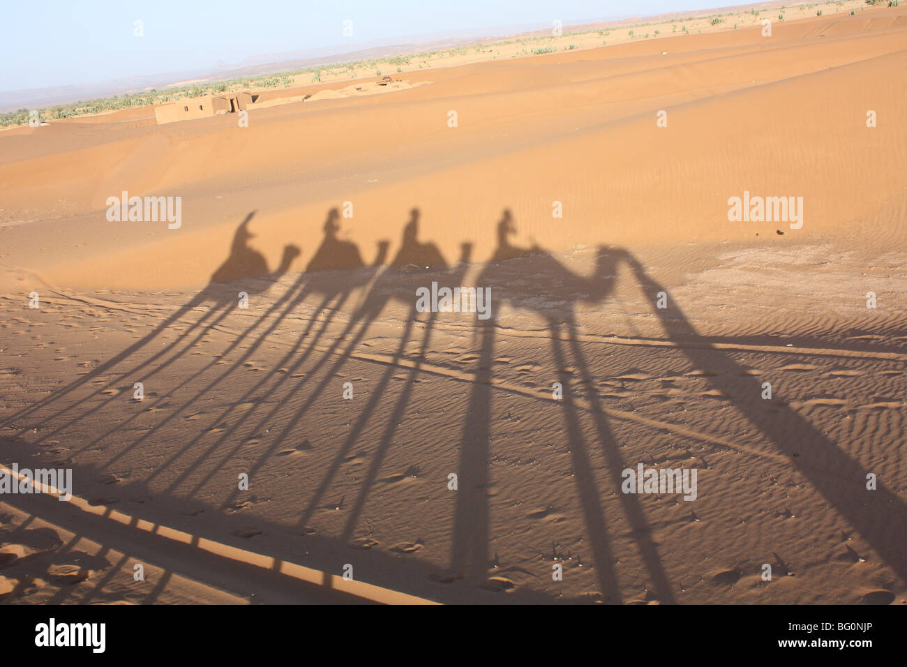 Shadows of a Sahara Desert camel trek Stock Photo