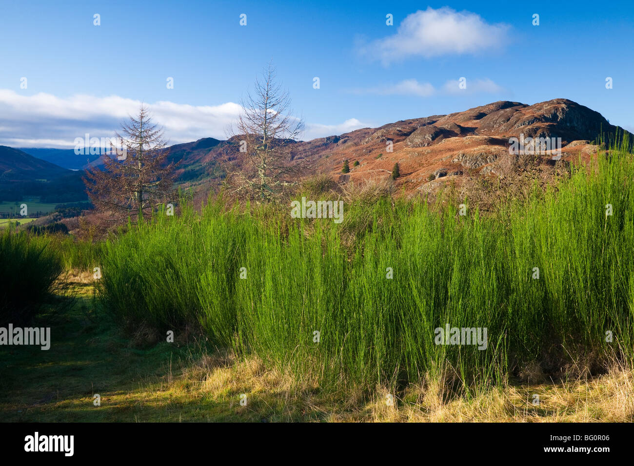 Perthshire and kinross hires stock photography and images Alamy