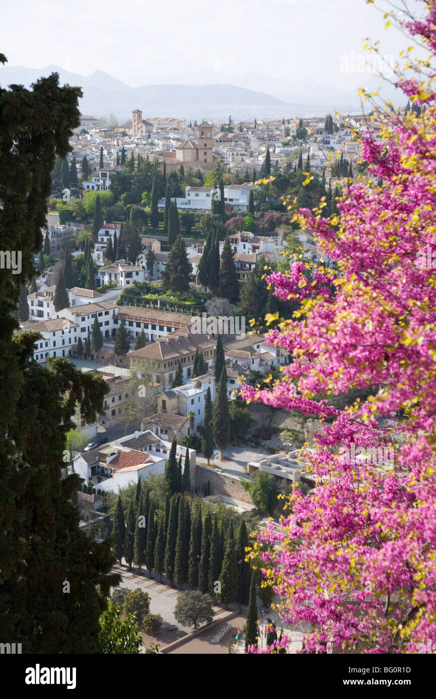 View from gardens of the Generalife to the Albaicin district, Granada, Andalucia (Andalusia), Spain, Europe Stock Photo