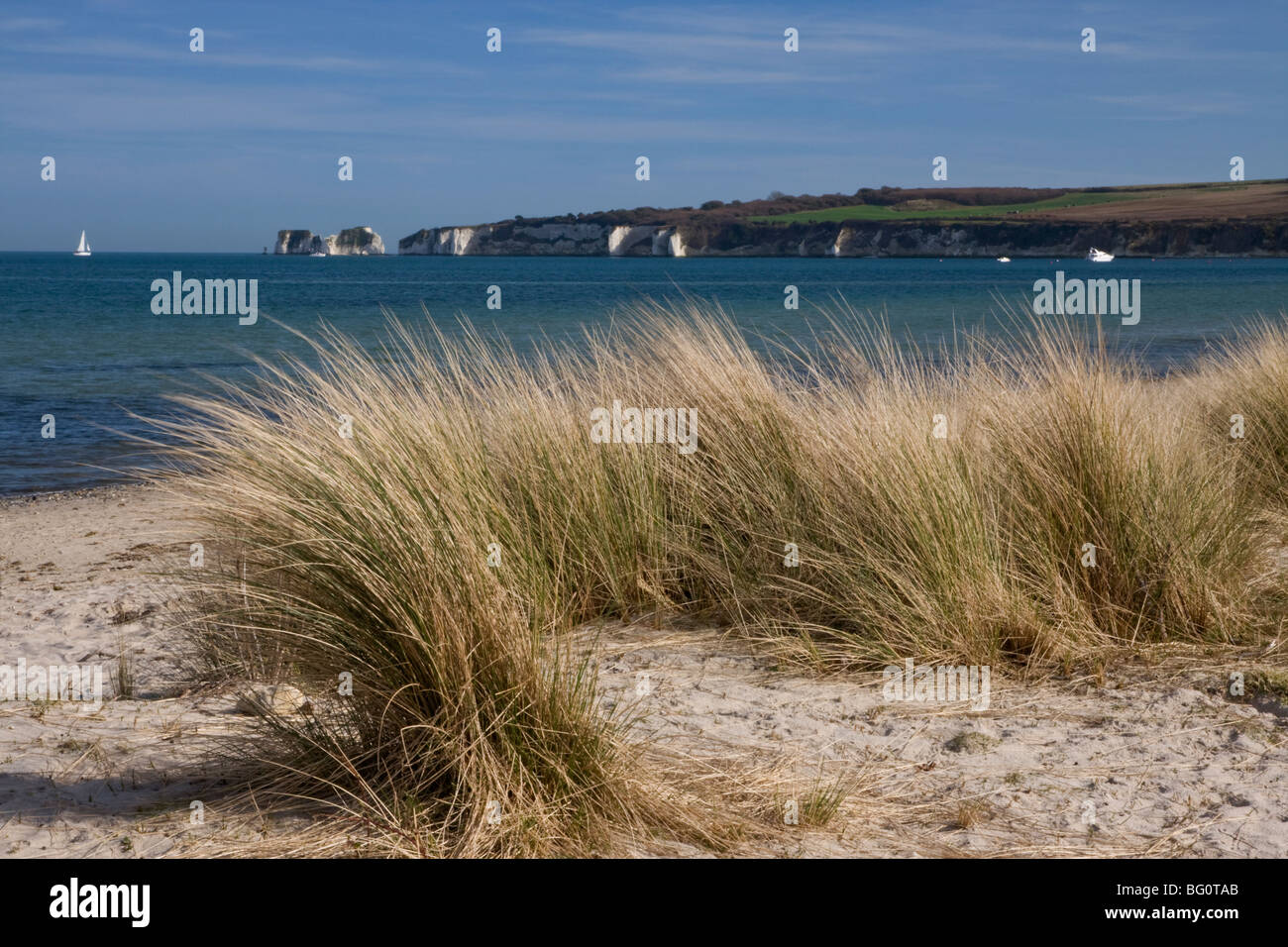 Studland Beach and The Foreland or Hardfast Point, showing Old Harry Rock, Isle of Purbeck, Dorset, England, United Kingdom Stock Photo