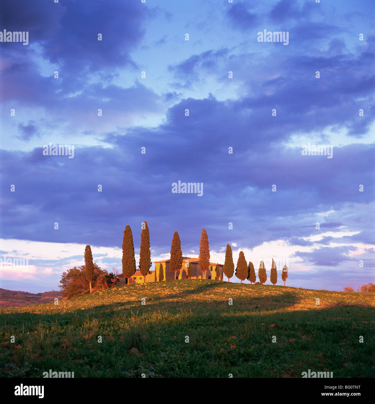 Near Pienza, Tuscany, Italy, Europe Stock Photo
