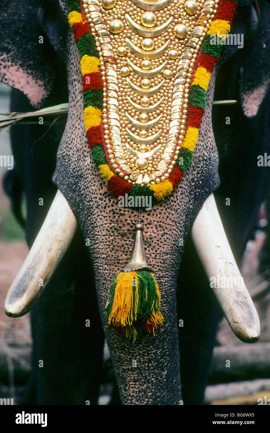 Elephants receive decorative headgear during elephant festivals in