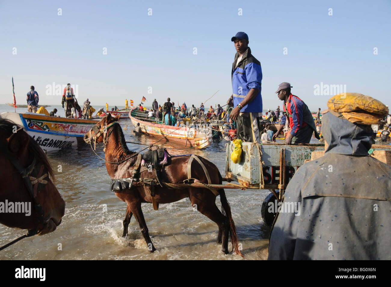 Unloading fishing boats (pirogues), Mbour Fish Market, Mbour, Senegal, West Africa, Africa Stock Photo
