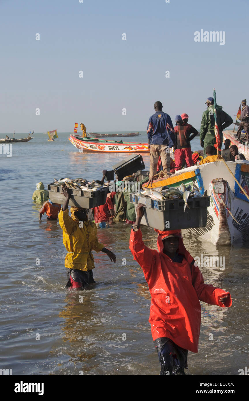 Unloading fishing boats (pirogues), Mbour Fish Market, Mbour, Senegal, West Africa, Africa Stock Photo
