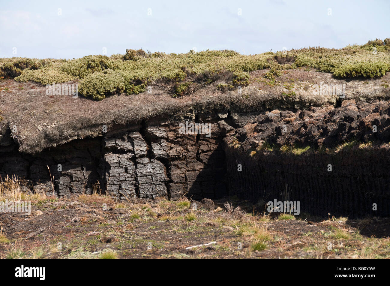 Peat used for fires, Port Stanley, Falkland Islands, South America Stock Photo