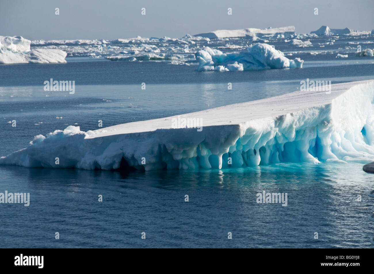 Ice in the Antarctic Sound, Antarctic Peninsula, Antarctica, Polar Regions Stock Photo