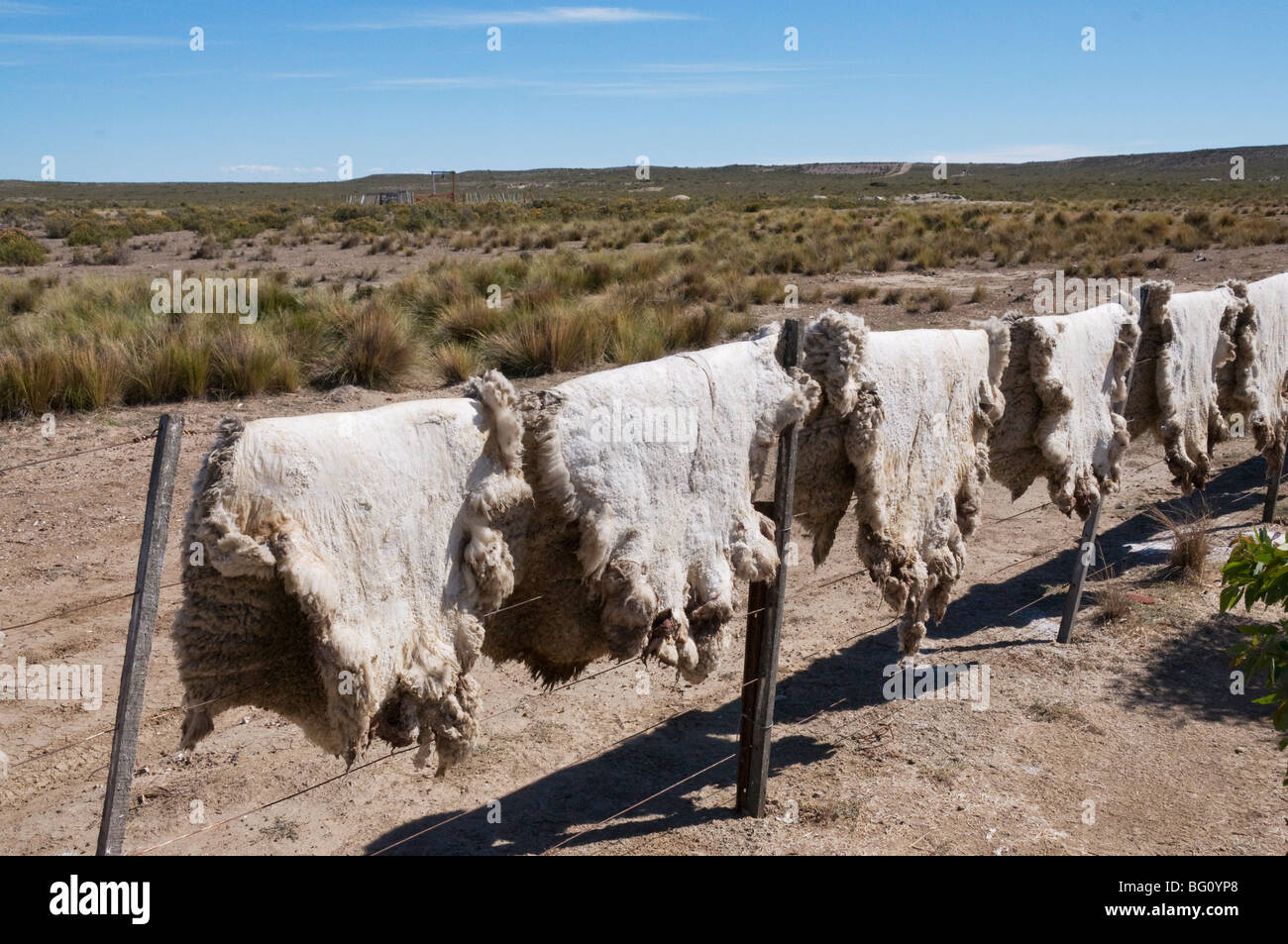 Ranch of La Elvira, Valdes Peninsula, Patagonia, Argentina, South America Stock Photo