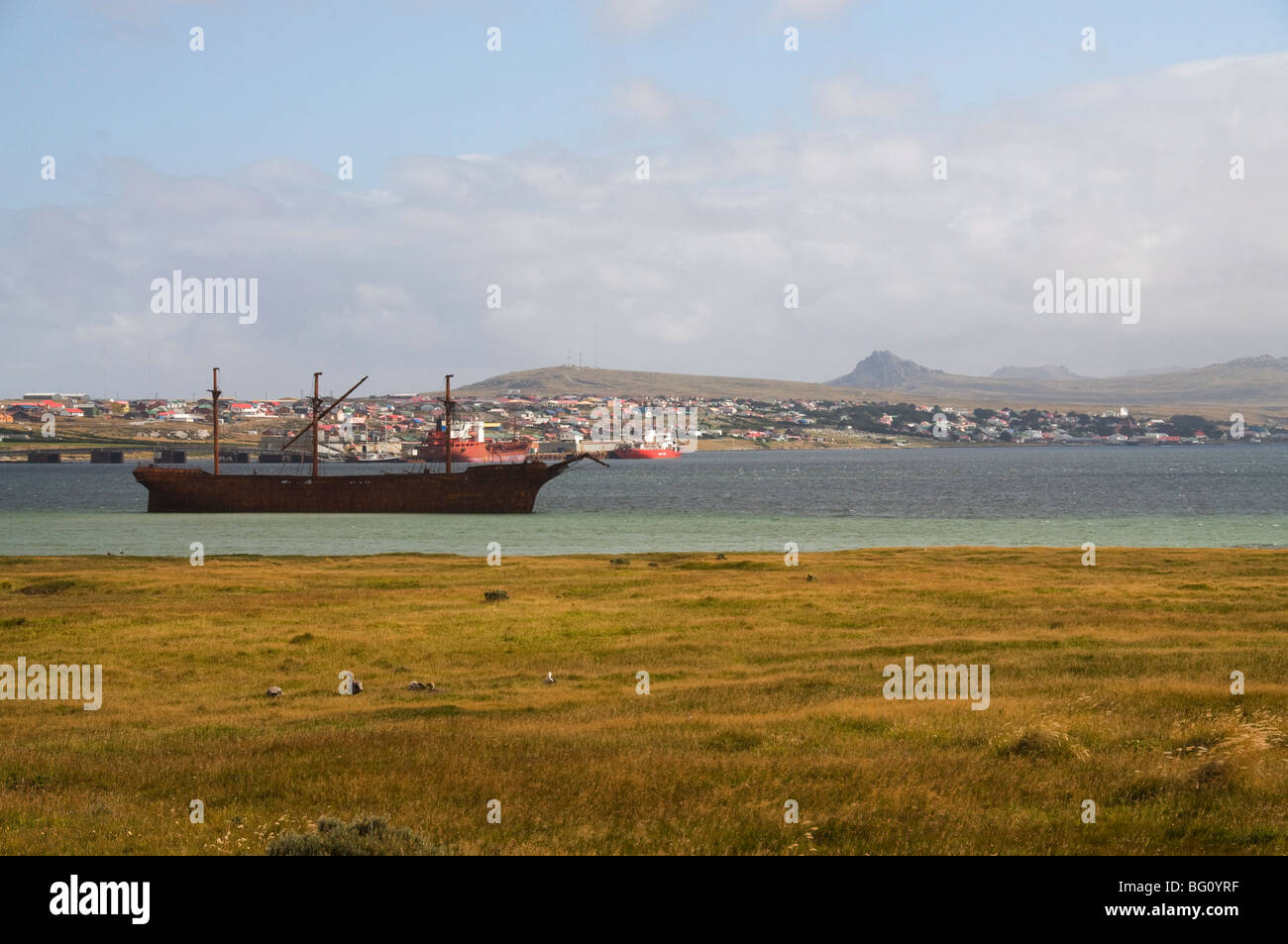 The Lady Elizabeth, an old sailing ship that ran aground, Port Stanley, Falkland Islands, South America Stock Photo