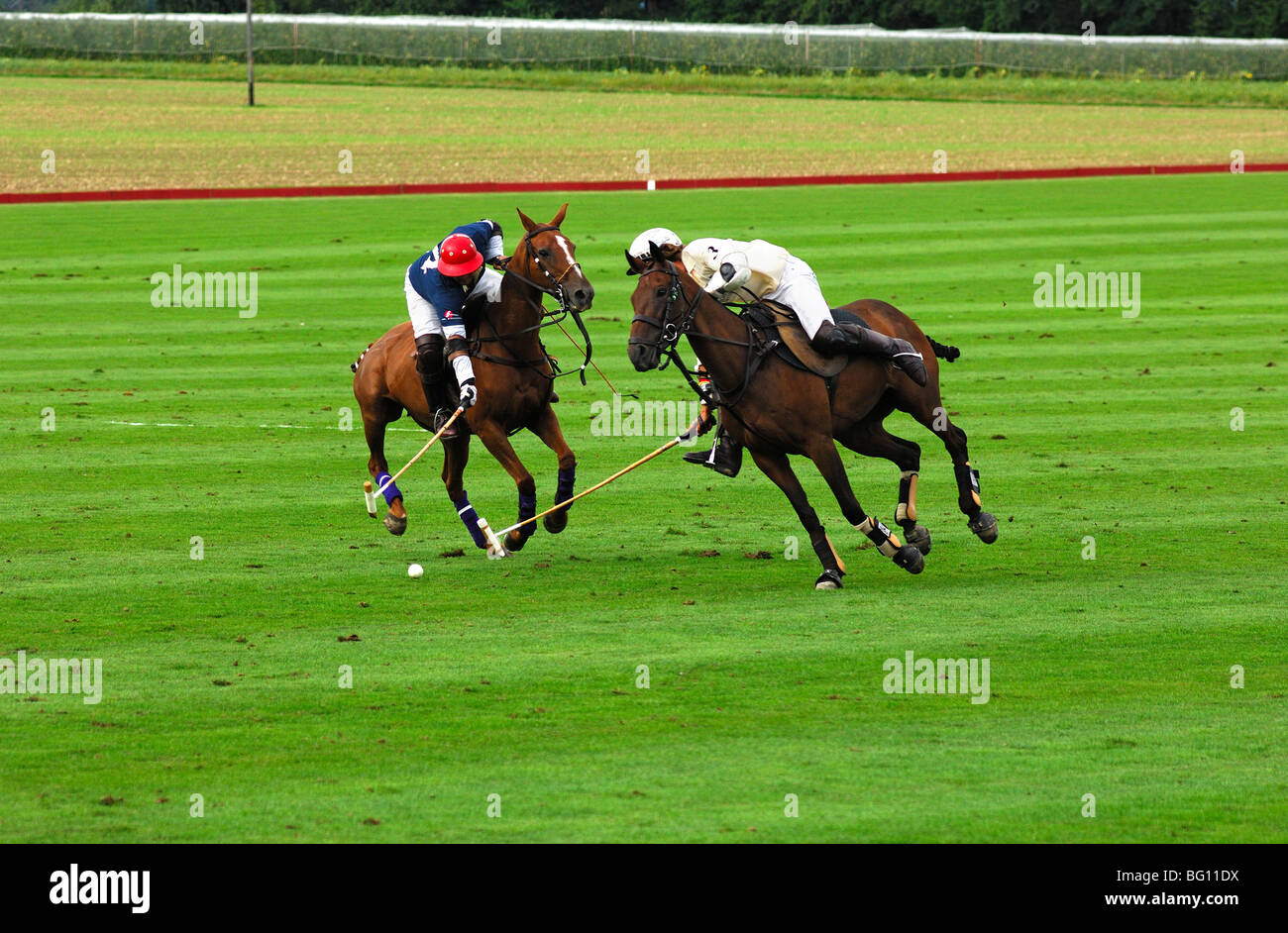 Duel for the the ball with the mallets in full gallop at a Polo match, Polo Club de Veytay, Mies, Switzerland Stock Photo