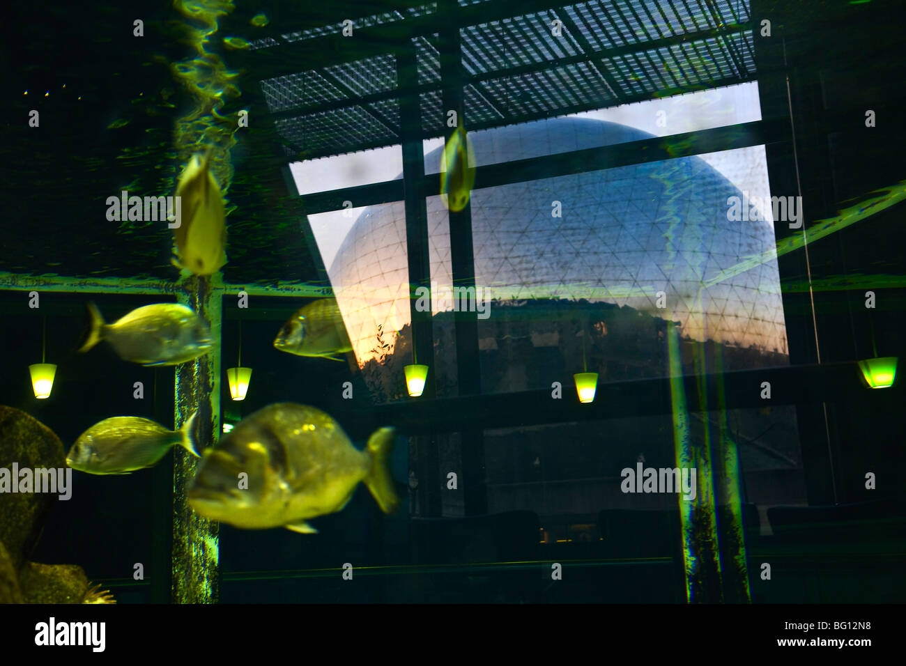 Aquarium de paris hi-res stock photography and images - Alamy