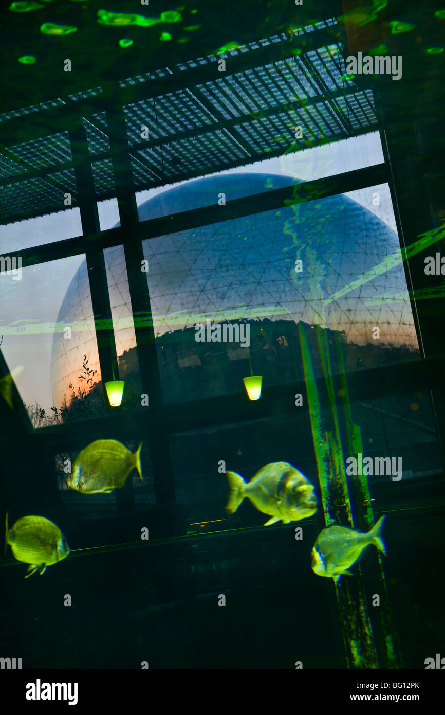 LA GEODE, PARC DE LA VILLETTE, PARIS Stock Photo Alamy