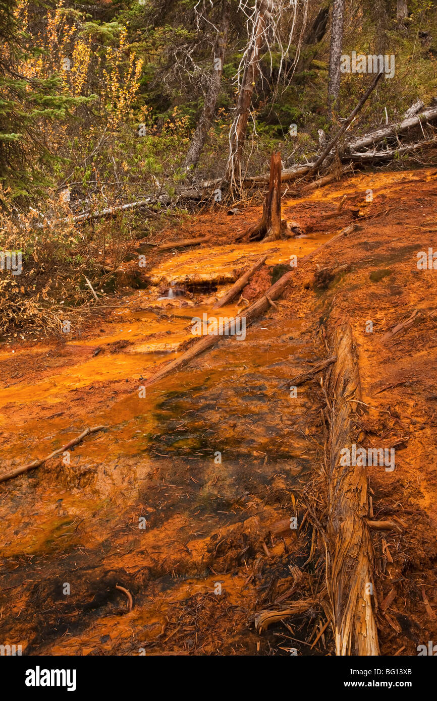 The incredible ochre colours in the soil in the Paint pots in Yoho